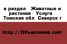  в раздел : Животные и растения » Услуги . Томская обл.,Северск г.